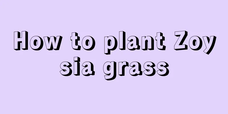 How to plant Zoysia grass