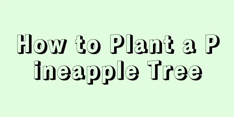 How to Plant a Pineapple Tree