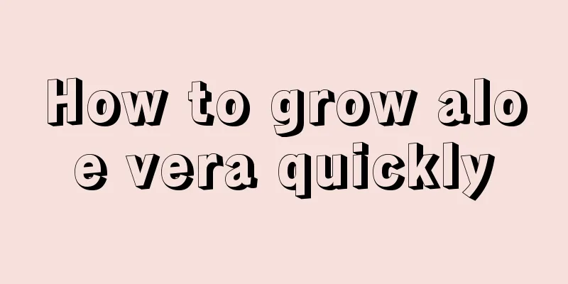 How to grow aloe vera quickly