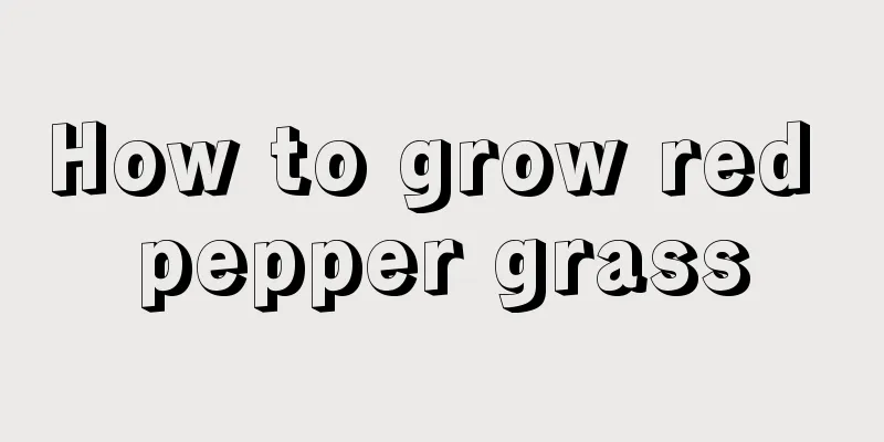 How to grow red pepper grass