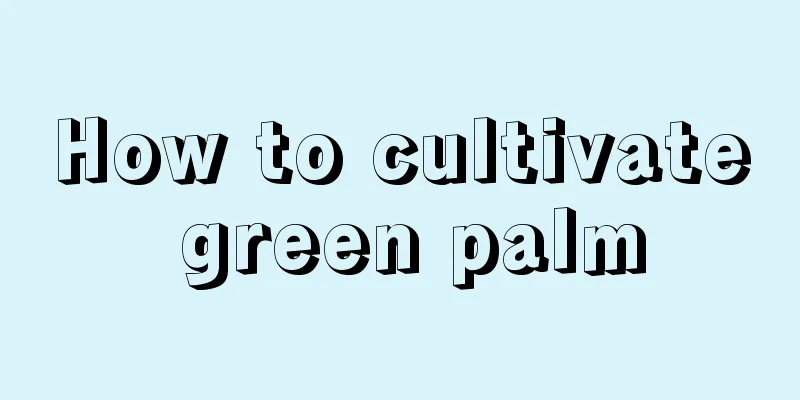 How to cultivate green palm