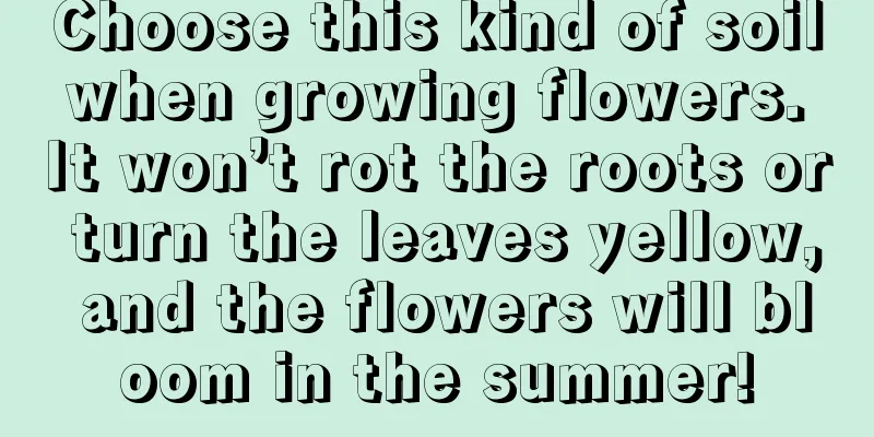 Choose this kind of soil when growing flowers. It won’t rot the roots or turn the leaves yellow, and the flowers will bloom in the summer!