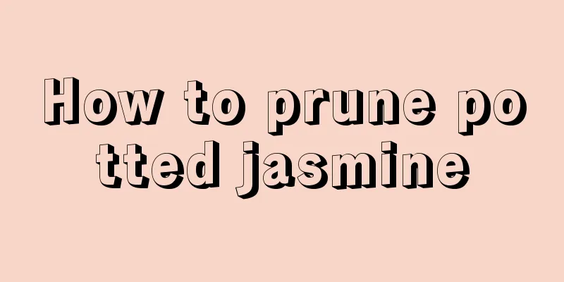 How to prune potted jasmine