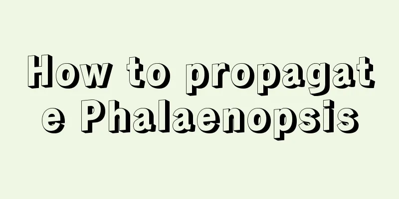 How to propagate Phalaenopsis