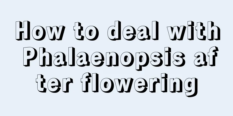 How to deal with Phalaenopsis after flowering