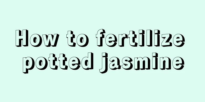 How to fertilize potted jasmine