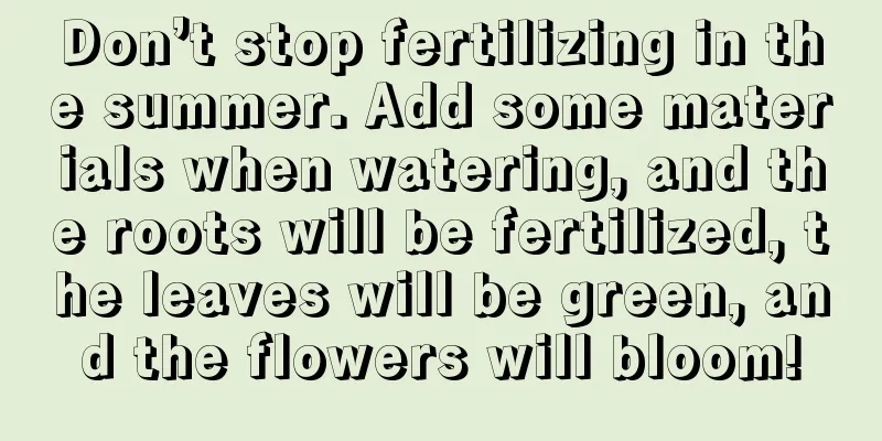 Don’t stop fertilizing in the summer. Add some materials when watering, and the roots will be fertilized, the leaves will be green, and the flowers will bloom!