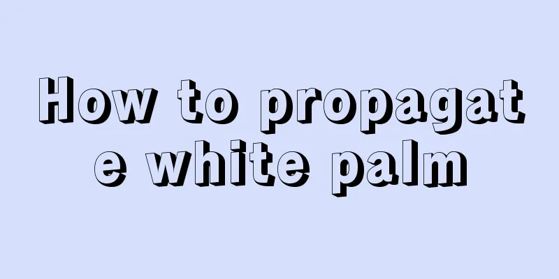 How to propagate white palm