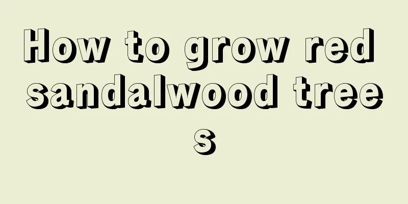 How to grow red sandalwood trees