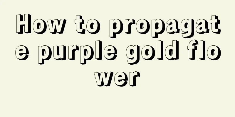 How to propagate purple gold flower