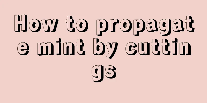 How to propagate mint by cuttings