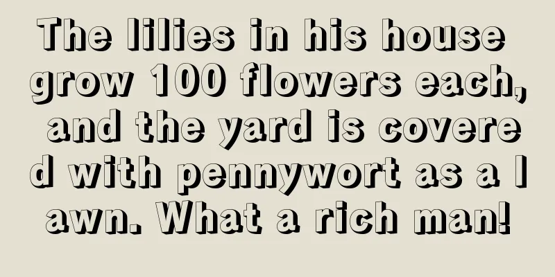 The lilies in his house grow 100 flowers each, and the yard is covered with pennywort as a lawn. What a rich man!