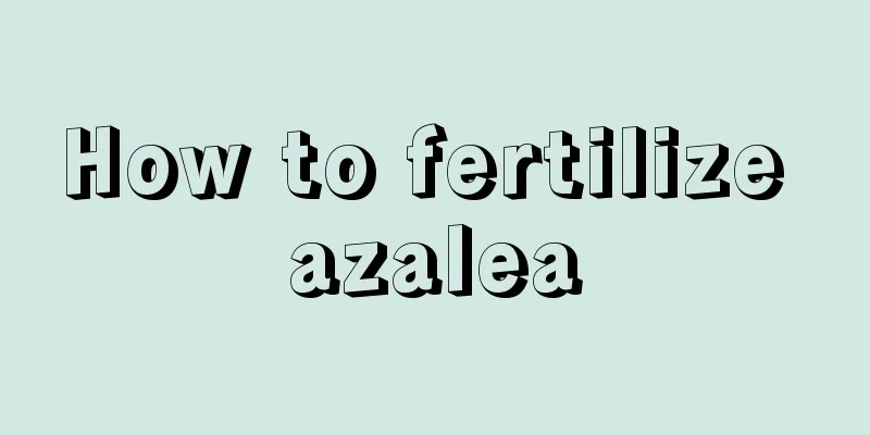 How to fertilize azalea