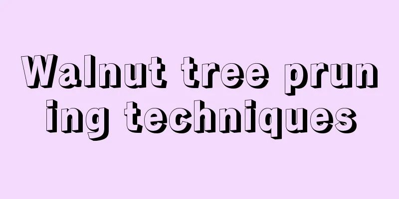 Walnut tree pruning techniques