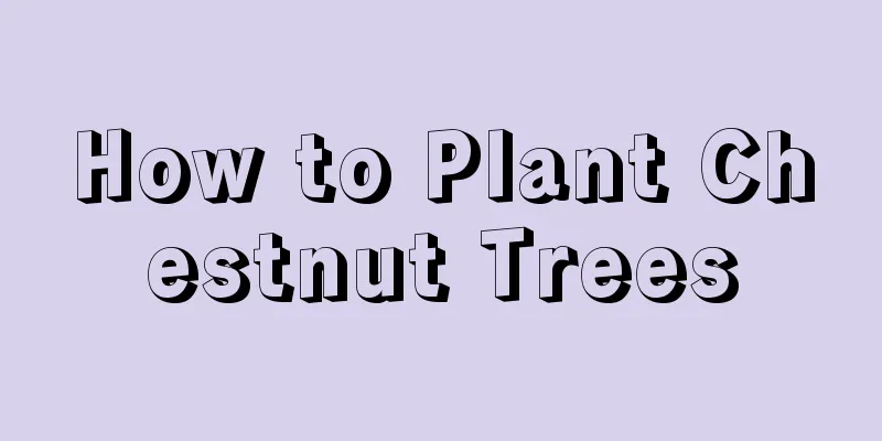 How to Plant Chestnut Trees