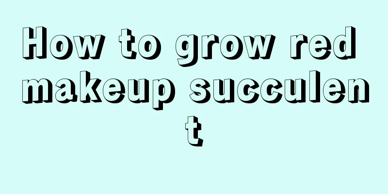 How to grow red makeup succulent