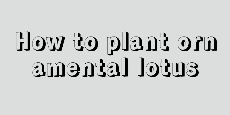 How to plant ornamental lotus