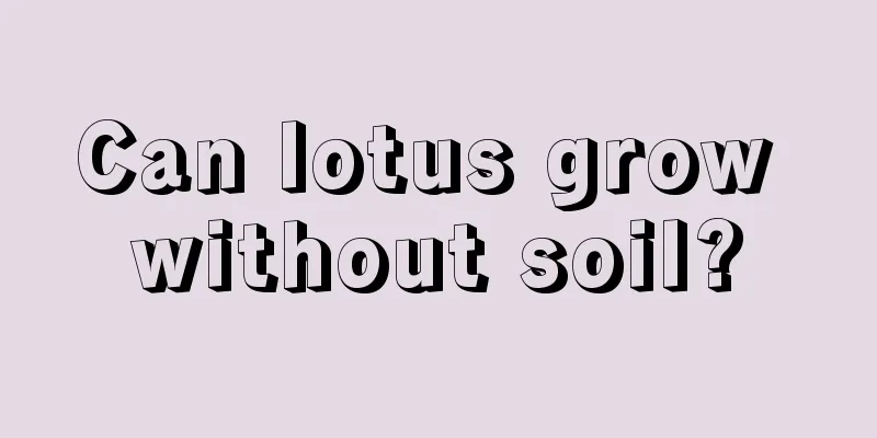 Can lotus grow without soil?