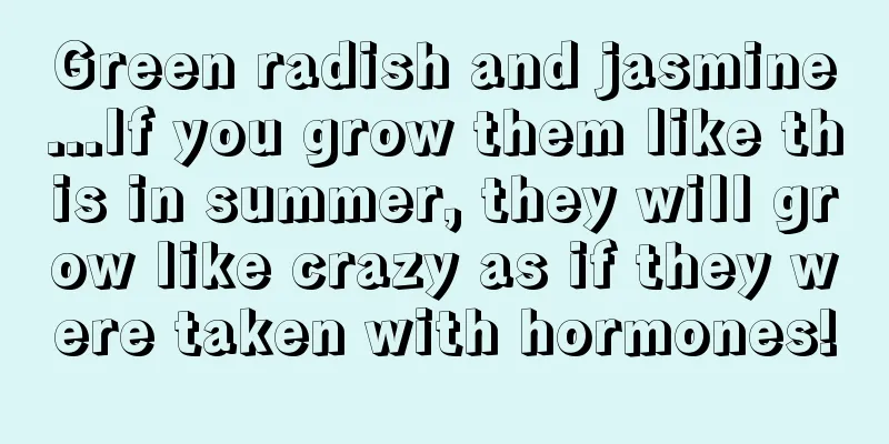 Green radish and jasmine...If you grow them like this in summer, they will grow like crazy as if they were taken with hormones!