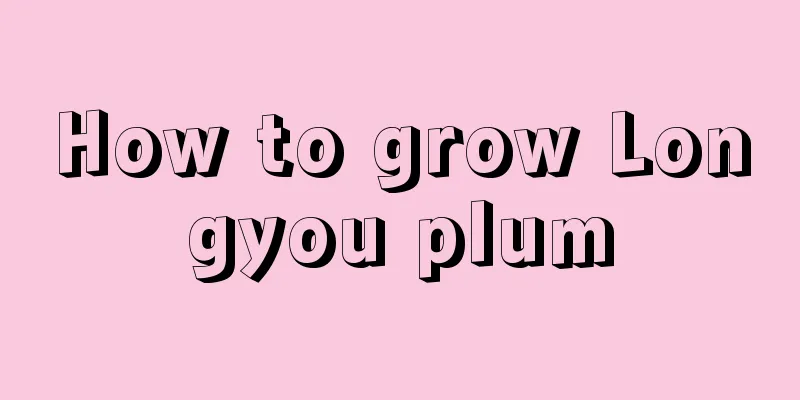 How to grow Longyou plum