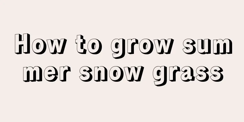 How to grow summer snow grass