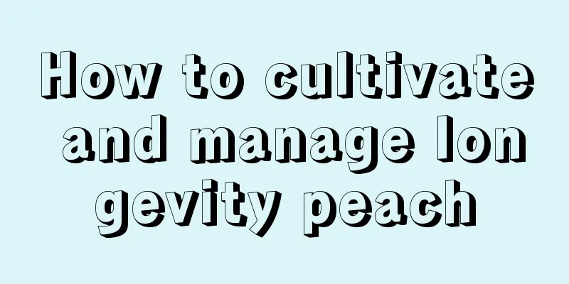 How to cultivate and manage longevity peach