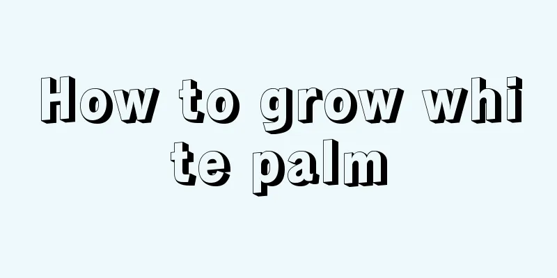 How to grow white palm