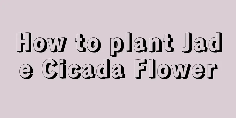 How to plant Jade Cicada Flower