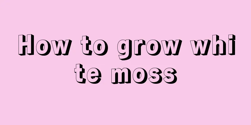 How to grow white moss