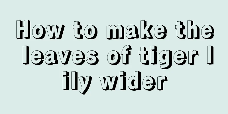 How to make the leaves of tiger lily wider