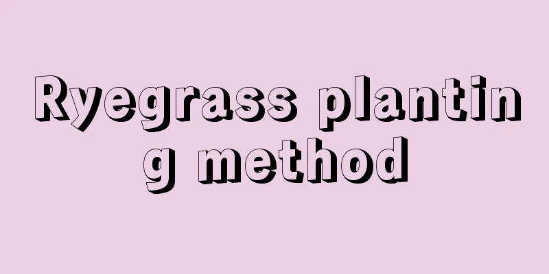 Ryegrass planting method