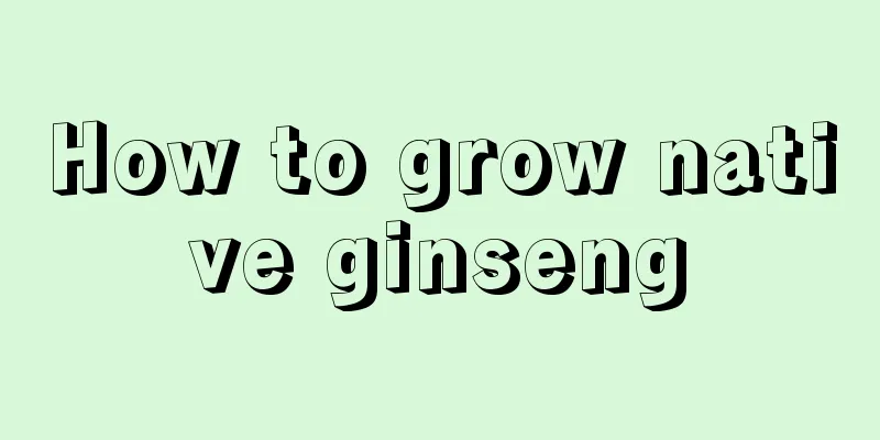 How to grow native ginseng