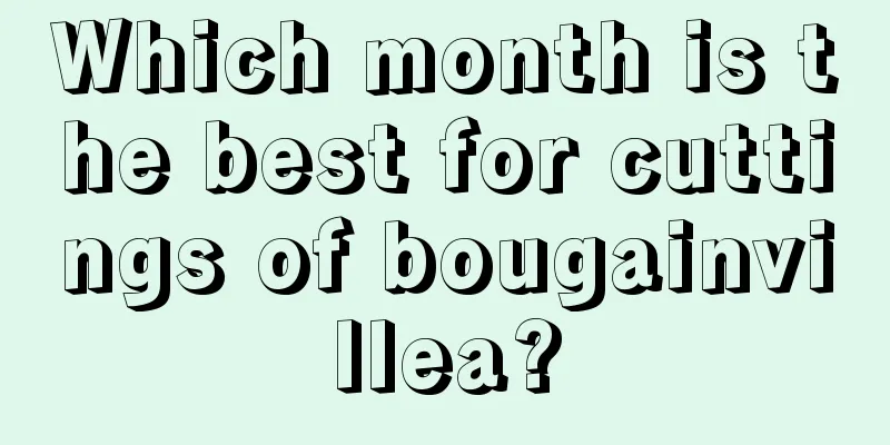 Which month is the best for cuttings of bougainvillea?