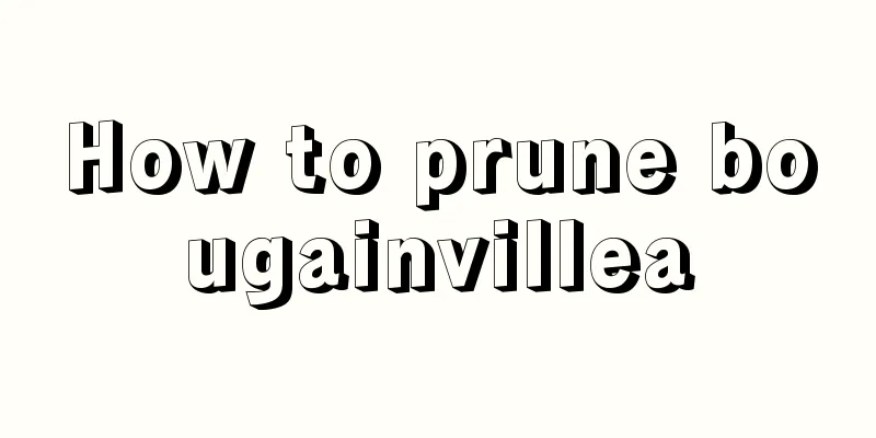 How to prune bougainvillea