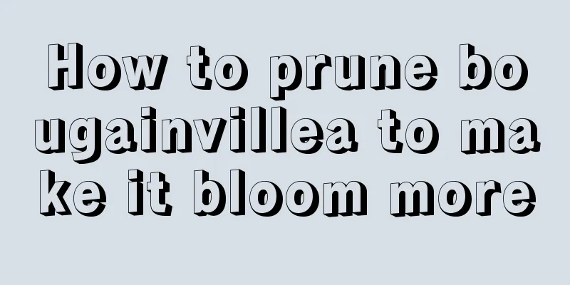 How to prune bougainvillea to make it bloom more