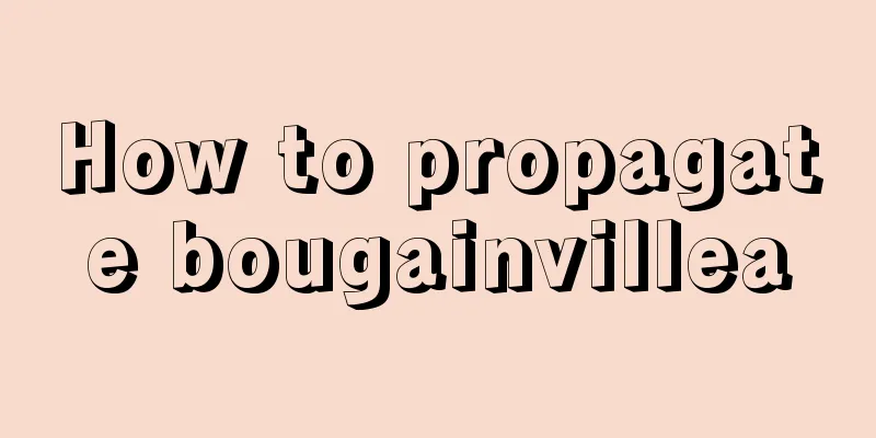 How to propagate bougainvillea