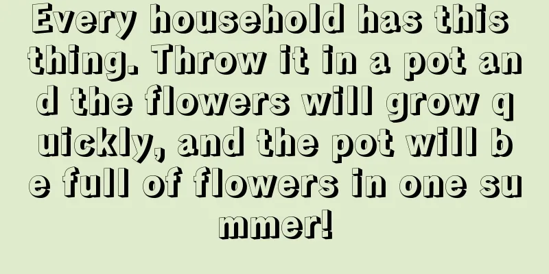 Every household has this thing. Throw it in a pot and the flowers will grow quickly, and the pot will be full of flowers in one summer!