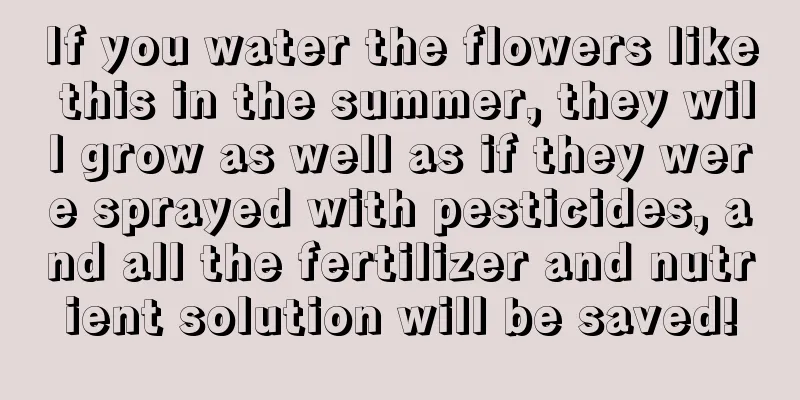 If you water the flowers like this in the summer, they will grow as well as if they were sprayed with pesticides, and all the fertilizer and nutrient solution will be saved!