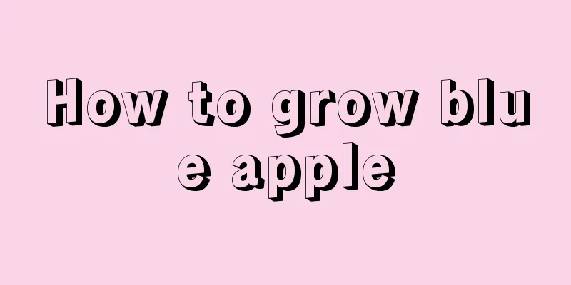 How to grow blue apple