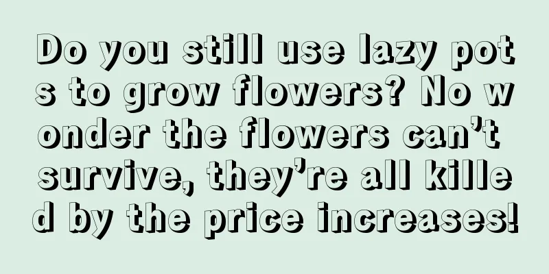 Do you still use lazy pots to grow flowers? No wonder the flowers can’t survive, they’re all killed by the price increases!