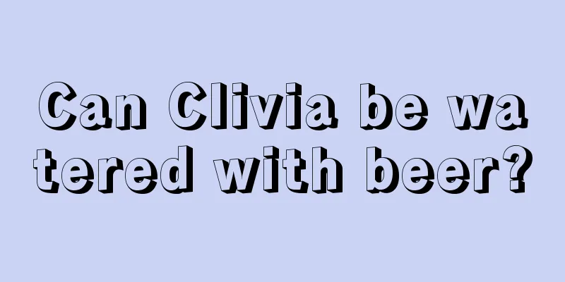 Can Clivia be watered with beer?