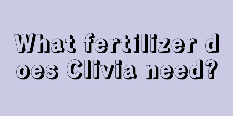 What fertilizer does Clivia need?