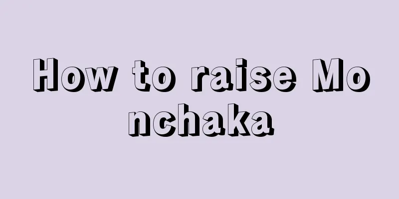 How to raise Monchaka