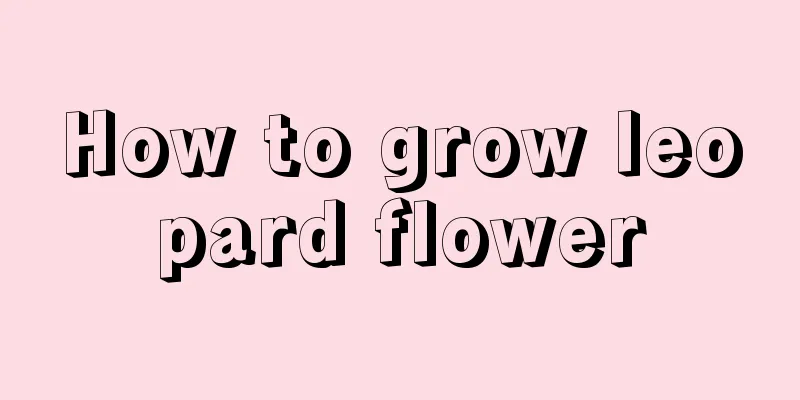 How to grow leopard flower