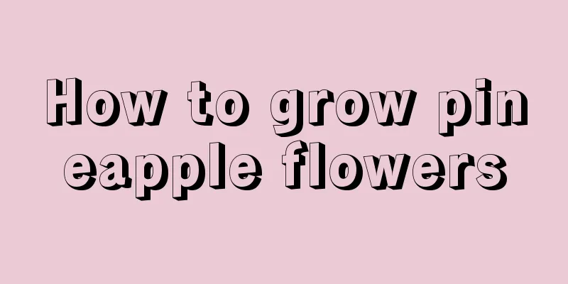 How to grow pineapple flowers