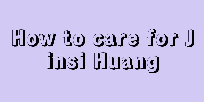 How to care for Jinsi Huang