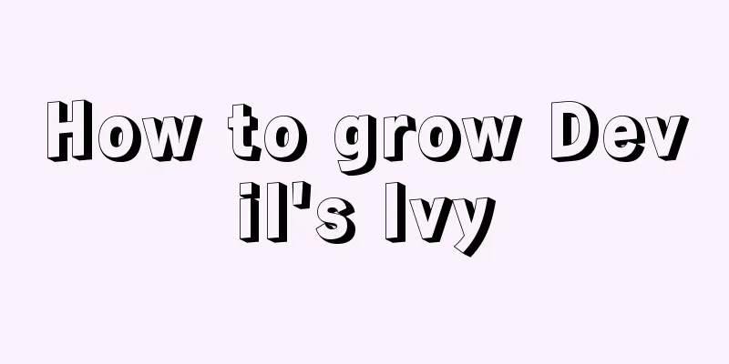 How to grow Devil's Ivy