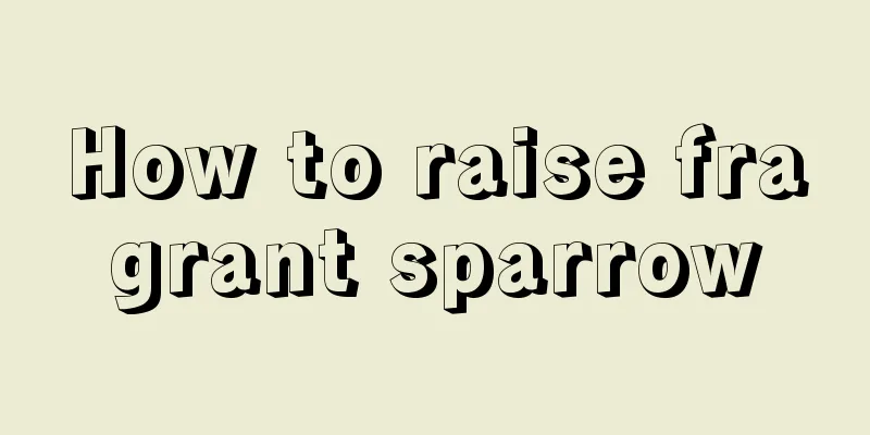 How to raise fragrant sparrow