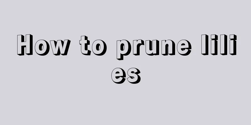 How to prune lilies