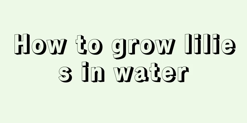 How to grow lilies in water